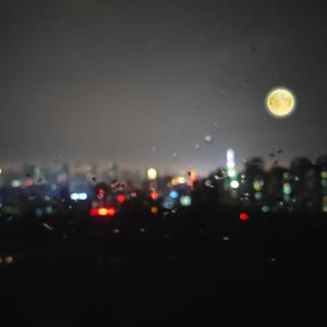 情侣把冰块放在女方的屁股上变态文
