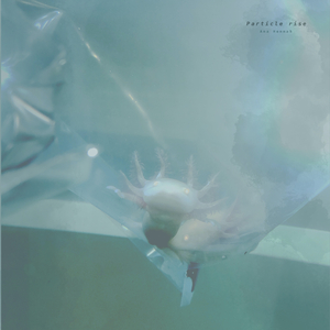 情侣把冰块放在女方的屁股上变态文
